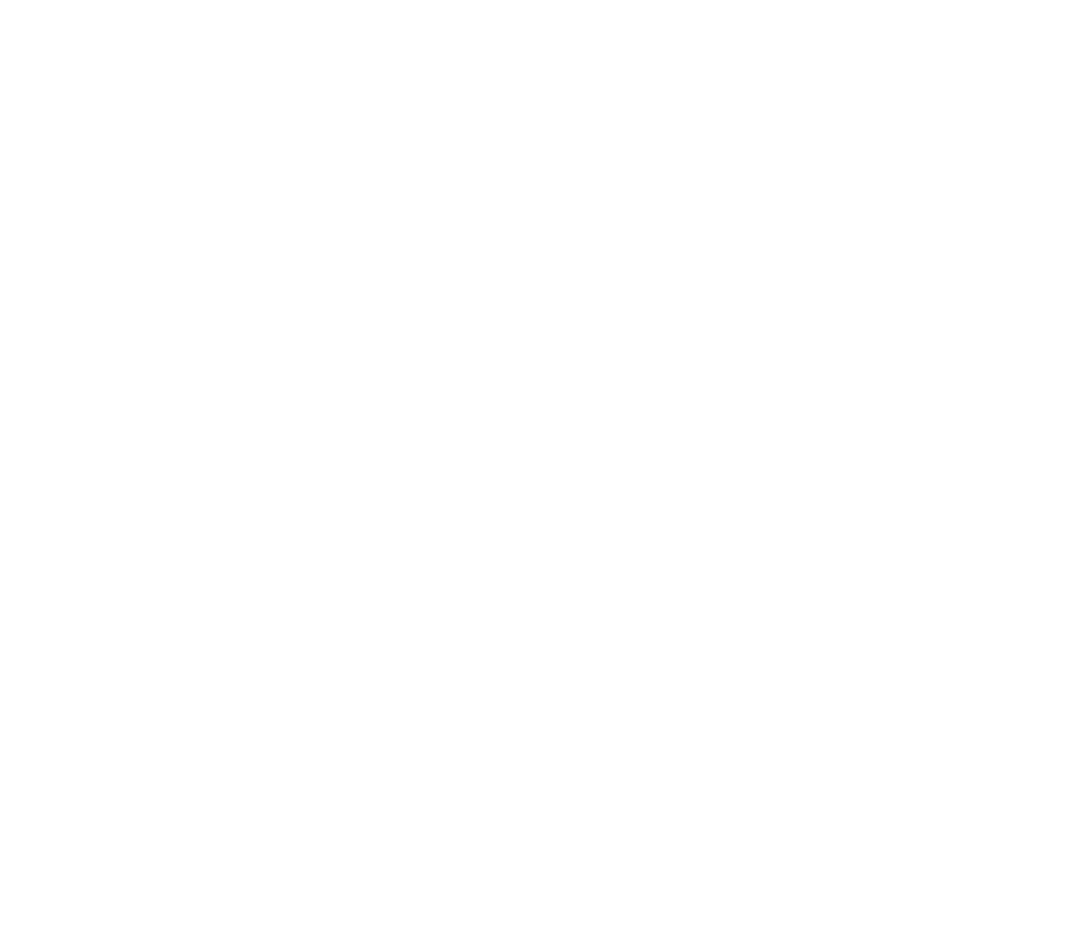 Desafío Importador